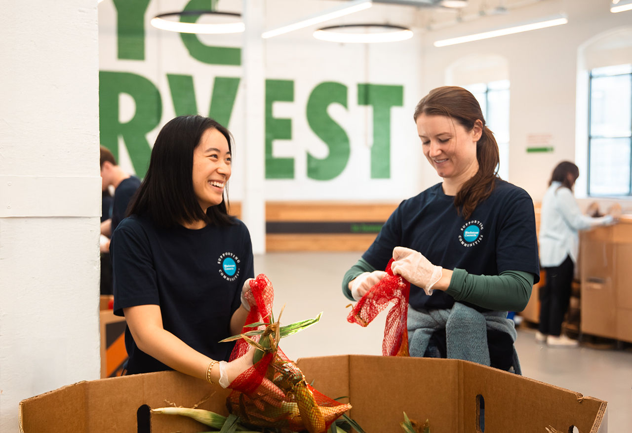 bxcf_city harvest_net-new